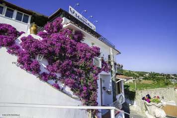 Hotel La Magnolia - mese di Aprile - 4331 ok